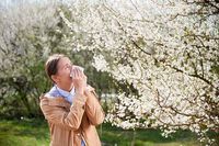 Niveles de polen y alergia: lo que te espera en primavera