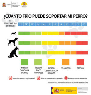 ¿Cómo afecta el frío a nuestro perro?