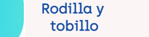 Rodilla y tobillo
