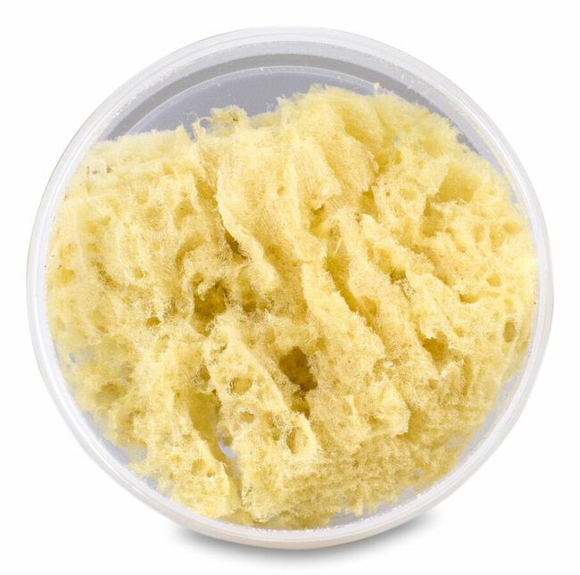 Suavinex Esponja Natural Canastilla, 1 Ud