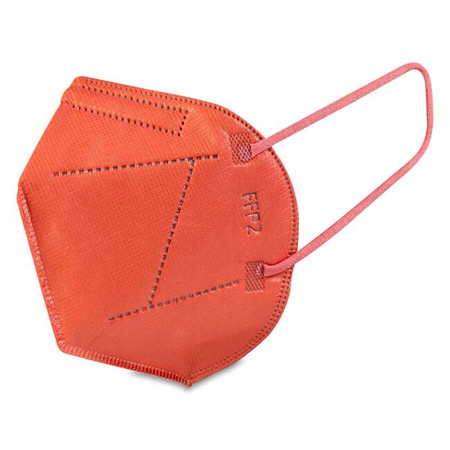 Mascarilla FFP2 10 Unidades, 1 Caja