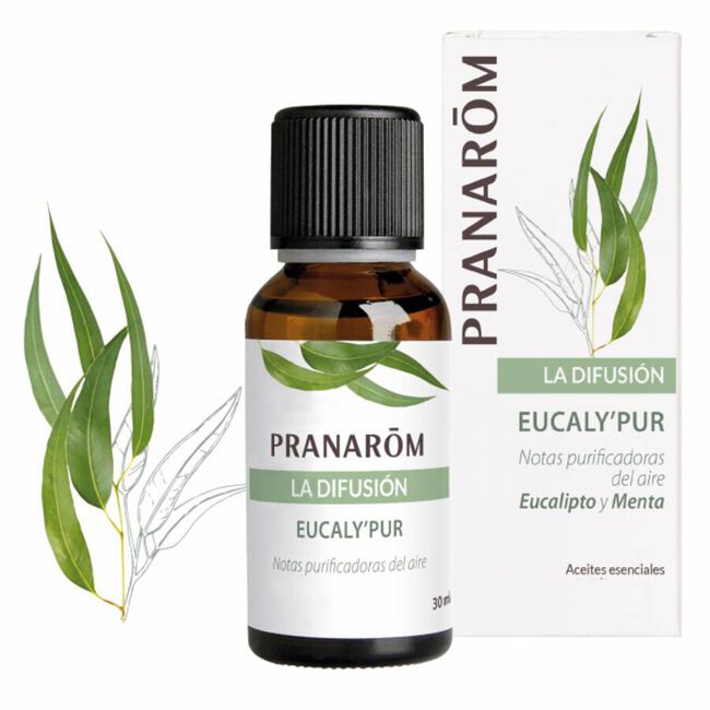 Pranrom EucalyPur Aceite Difusión, 30 ml