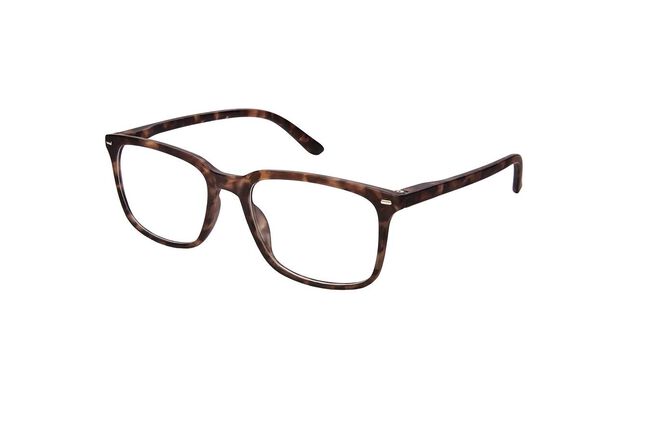 Farline Gafas de Presbicia Habana Marrón 3,5, 1 Ud
